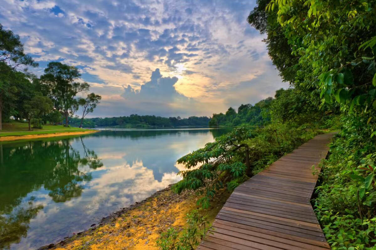 MacRitchie Resrvoir